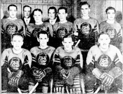 Hamilton Tigers