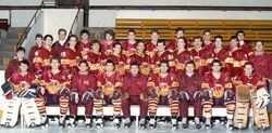 Concordia Stingers