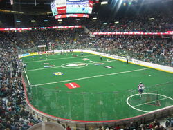 Pengrowth Saddledome lacrosse