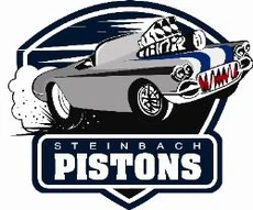 Team logo 2009-2013