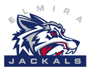 Old Elmira Jackals logo