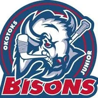 Okotoks Bisons official logo