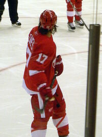 Joe Louis Arena, Ice Hockey Wiki