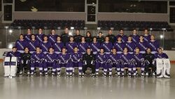 Niagara Purple Eagles (Atlantic Hockey)