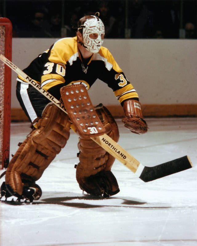 Gerry Cheevers, Ice Hockey Wiki