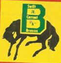 SCBroncosLogo.jpg