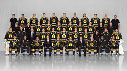 11-12Skell.jpg (126 KB) Skellefteå AIK