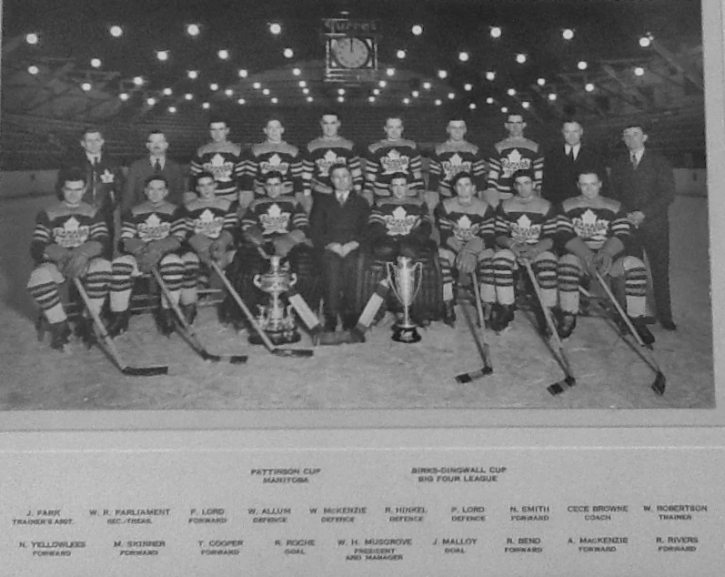 Winnipeg Canada Packers Ice Hockey Wiki Fandom