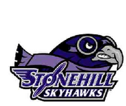 Stonehill Skyhawks logo.png