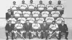 San Diego Gulls (1966-1974) • Fun While It Lasted