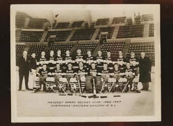 Hershey Bears