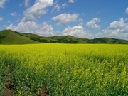 A view of Esterhazy.