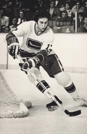 Ronsedlbauer