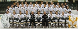 Northern Michigan Wildcats (CCHA)
