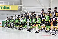 HC Bilyi Bars 08