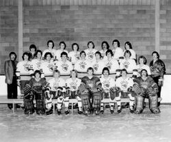 Regina Cougars