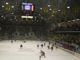 Empty net goal
