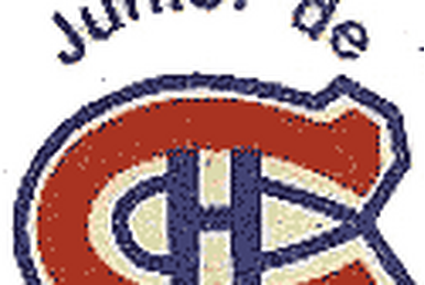 Rouyn-Noranda Huskies Alternate Logo - Quebec Major Jr Hockey