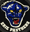 The 1991–92 logo of the Erie Panthers