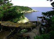 Cape Breton Island