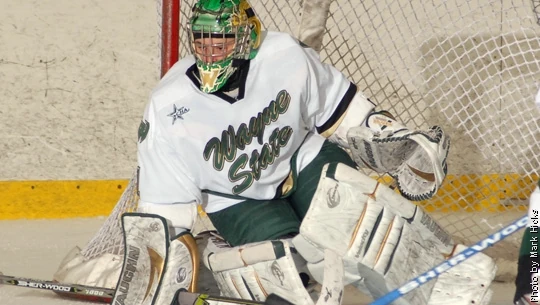 Delayne Brian Ice Hockey Wiki Fandom