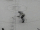 1965–66 Montreal Canadiens season