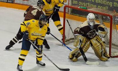 Bisons-at-lakehead-2009