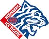 Nürnberg Ice Tigers(1995–1999)