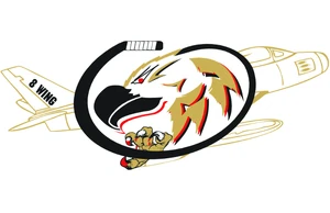 Older team logo