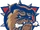 Hamilton Bulldogs (AHL)
