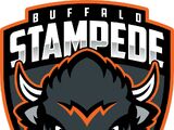 Buffalo Jr. Stampede
