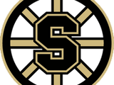 Strathcona Bruins
