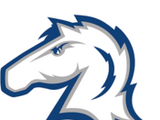 Hillsdale Chargers men's ice hockey