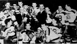 Bruins celebrate their cup win.