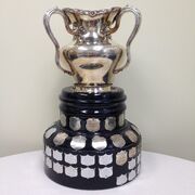 Coy Cup