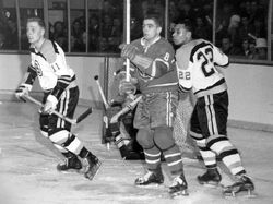 willie o'ree, 1961: scored that one for the whole town of fredericton