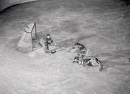 Jim Henry stops Woody Dumart, November 15, 1941.