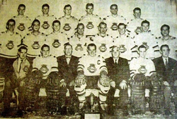 Chicoutimi Sagueneens