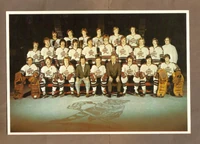 1974-75 Hershey Bears