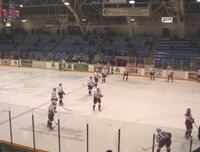 Greyhounds warmup