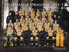 Storhamar Dragons