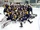 2013-14 GMJHL Season