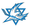 Israeli national ice hockey team Logo