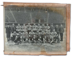 1934-35 ST. LOUIS EAGLES TEAM 8X10 PHOTO HOCKEY PICTURE NHL