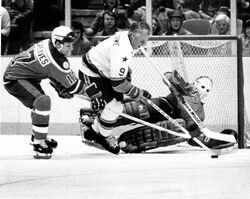 Through the Years: Ice Hockey 1975-2016