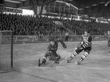 1959 Boston Bruins–New York Rangers European tour