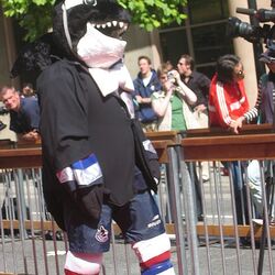 List of NHL mascots - Wikipedia