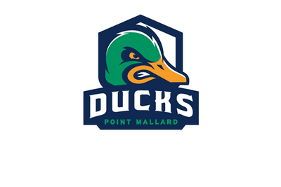 Point Mallard Ducks