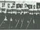 1937 World Championship