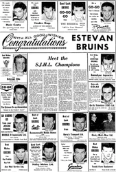 Estevan Bruins
